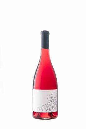Picture of 2021/2022 Cinsault